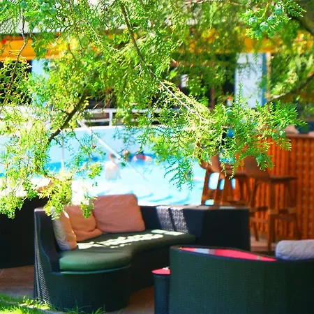 Flamingo Sunny Hotell