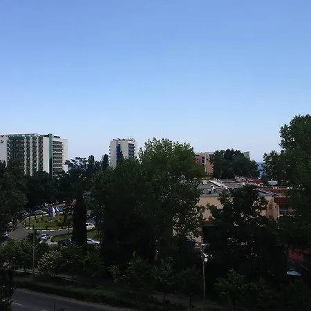 Flamingo Sunny 4* Napospart