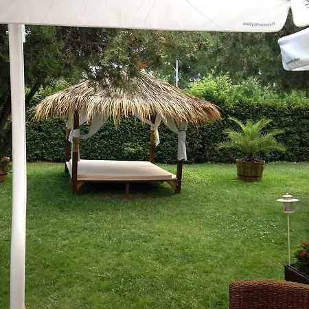 Flamingo Sunny
