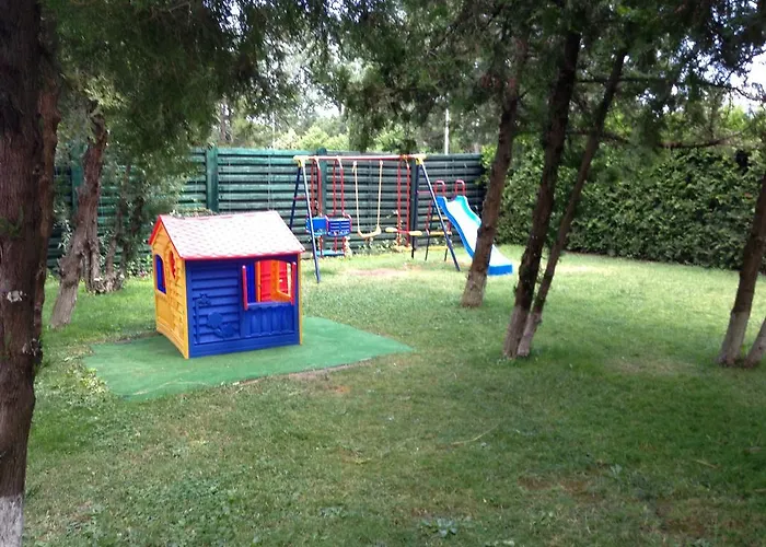 Отель Flamingo Sunny 4*