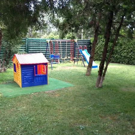 Hotel Flamingo Sunny 4*